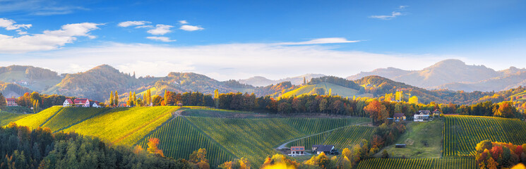 Spectacular vineyards landscape in South Styria near Gamlitz.