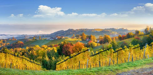  Breathtaking vineyards landscape in South Styria near Gamlitz. © pilat666