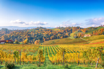 Fototapeta na wymiar Splendid vineyards landscape in South Styria near Gamlitz.