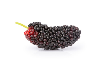 Closeup fresh red black mulberry fruit isolated on white background with clipping path. Macro.