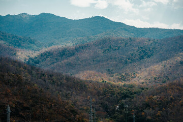 Naklejka premium Bo Kaeo Pine Tree Garden,Op Luang National Park,Hang Dong,Hot Mae Sariang Highway,Mae Chaem river,Doi Pha Chang,Doi Inthanon,Chiang Mai. beautiful blue sky mountains guiding for backpacker camping