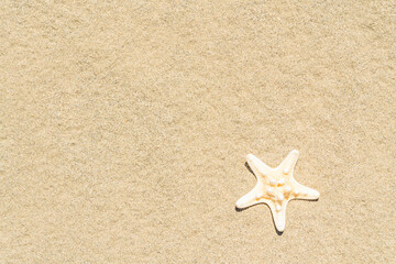 Fototapeta na wymiar Starfish on sand. Sea summer vacation background. Copy space for the text. Top view