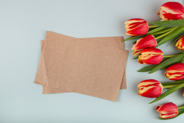 Fresh  tulips and empty blank for letter on green background