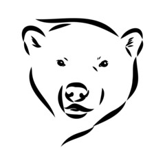 Polar bear illustration, drawing, engraving, ink, line art, vector