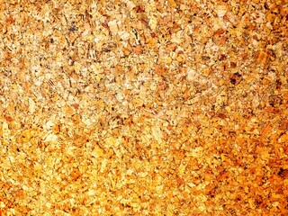 plywood texture abstract for background, surface plywood background.