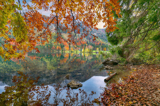 Stunning autumn scene of Vorderer Langbathsee lake.