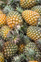 Vertical shot of a pile of organic fresh pineapple on the fruit market