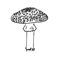 Handdrawn fly-agaric doodle icon. Hand drawn black sketch. Sign cartoon symbol. Decoration element. White background. Isolated. Flat design. Vector illustration.