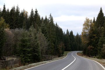 Fototapeta na wymiar Beautiful view of asphalt highway going through coniferous forest. Autumn season