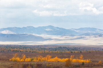 Autumn landscape with mountains and bright yellow larches in the foreground