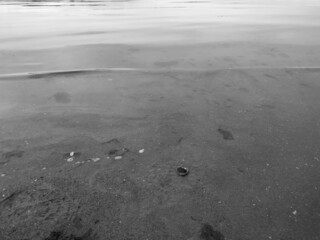 Arctic fjord beach lapping wave