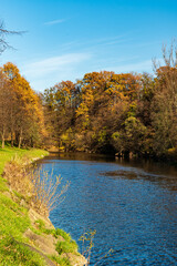 Autumn cenery of river with colorful trees around and clear sky - Lucina river in Ostrava city in Czech republic