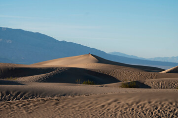 Fototapeta na wymiar Mesquite Flat Sand Dunes in Death Valley, California