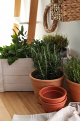 Fototapeta premium Different aromatic potted herbs on wooden table indoors