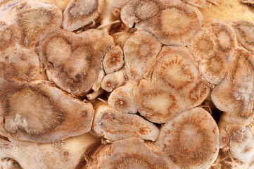 Céleri-rave en gros plan