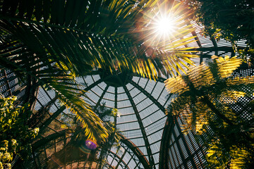 glass greenhouse ceiling in the park