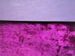 Purple solid color surface of colored paper as a background