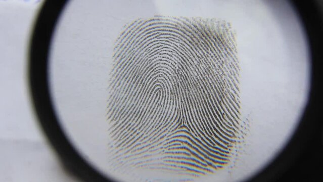 Close-up fingerprint through a forensic magnifying glass.