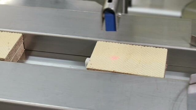 conveyor in the confectionery shop for the production and assembly of chocolate wafers