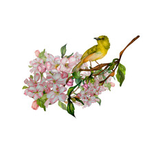 Green bird on blossome branch watercolor illustration