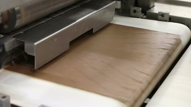 conveyor in the confectionery shop for the production and assembly of chocolate wafers