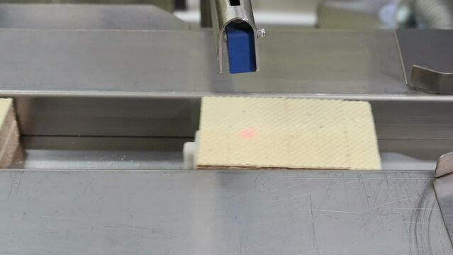 conveyor in the confectionery shop for the production and assembly of chocolate wafers