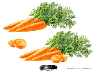 Carrots set watercolor illustration isolated on white background - obrazy, fototapety, plakaty
