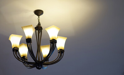 flower shape lamps hang ceiling with turn on