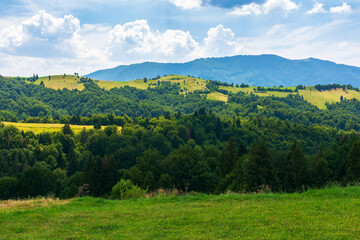Fototapeta na wymiar beautiful mountainous rural scenery in summer. idyllic landscape of carpathian alps with fresh green meadows. forested hills and natural outdoor travel background beneath a sky with cumulus clouds