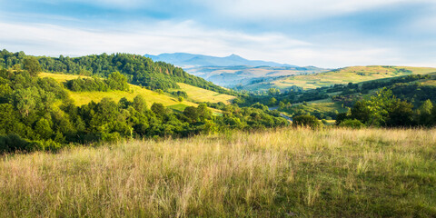 Fototapeta premium beautiful landscape of valley in carpathian alps. idyllic rural view of gently rolling patchwork farmland. mountainous countryside scenery in morning light. ridge with high peak in the distance