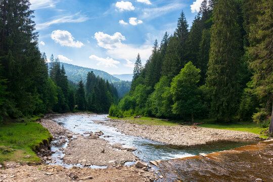 summer landscape with mountain river. nature scenery with forest on the grassy shore with pebbles. water flow winding through valley. sunny weather with clouds on the bright blue sky