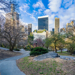Central Park in spring