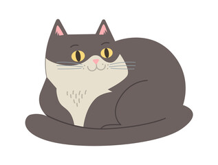 Lying cat domestic animal. Vector illustration