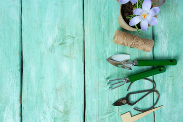 Garden tools on turquoise wooden surface