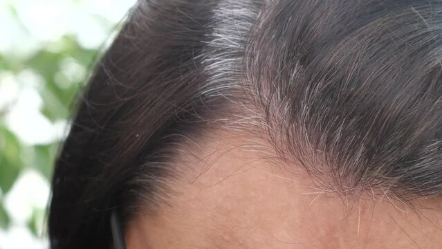 Middle Age Woman Touching Her Dark Hairs With Gray Color Hair Roots. Early Gray Hair, Hair Loss. Close Up