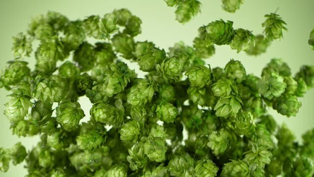 Super Slow Motion Shot of Flying Fresh Hops on Green Background at 1000 fps.