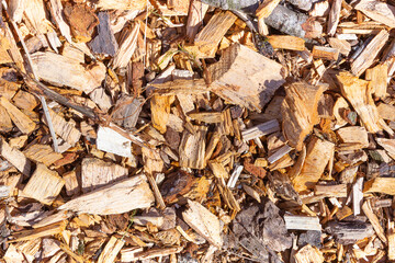 wood sawdust lie on the ground