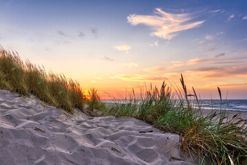 Reeds on dunes at sunset - Baltic Sea, Poland - obrazy, fototapety, plakaty