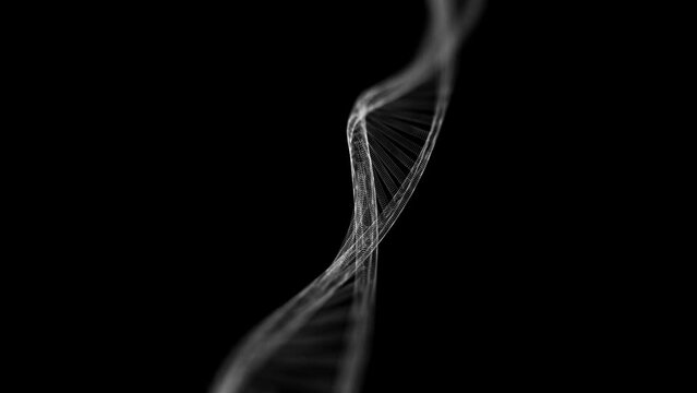 Dna genome rotating seamless animation. Bio genetic medical science. Gene helix model 4k motion background. Molecular biology future concept.
