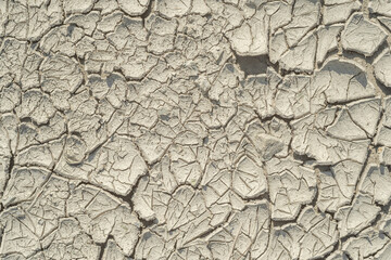 Dried cracked gray mud soil, textured.