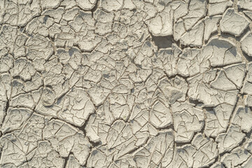 Dried cracked gray mud soil, textured.