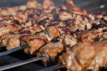 spieße auf Stöcken werden auf Kohlen gebraten auf dem Grill liegen die Stöcke schräg