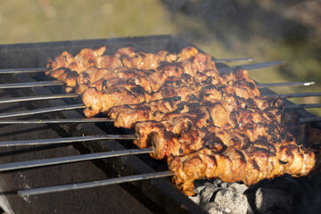 spieße auf Stäbchen werden auf Kohlen gebraten auf dem Grill liegen Stöcke senkrecht...