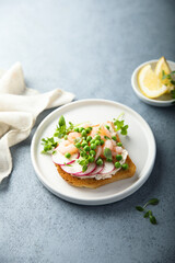 Shrimp toast with cream cheese, radish and green pea