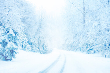Cold and snowy winter road in the mountains with evergreens during snowstorm. Toned blue.