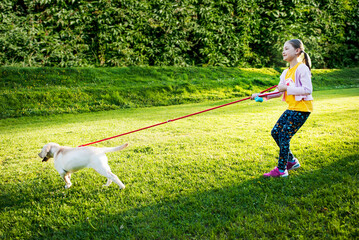 Young girl holds leash while walking puppy through park.