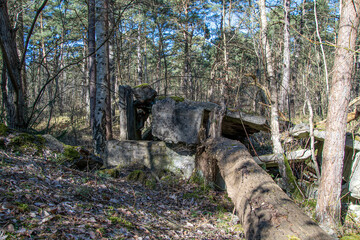 Ruine der Pulverfabrik Dünenberg im Naturschutzgebiet Besenhorster Sanddünen in Geesthacht nach Sprengung