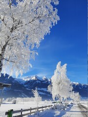 Winter in Piesendorf