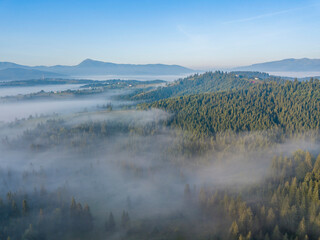 Morning fog in the Ukrainian Carpathians. Aerial drone view.