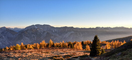 Abend, Abenddämmerung, Dämmerung, dämmern, Alpen, Hochstein, Lienzer Dolomiten, Wald, Lärchen,...